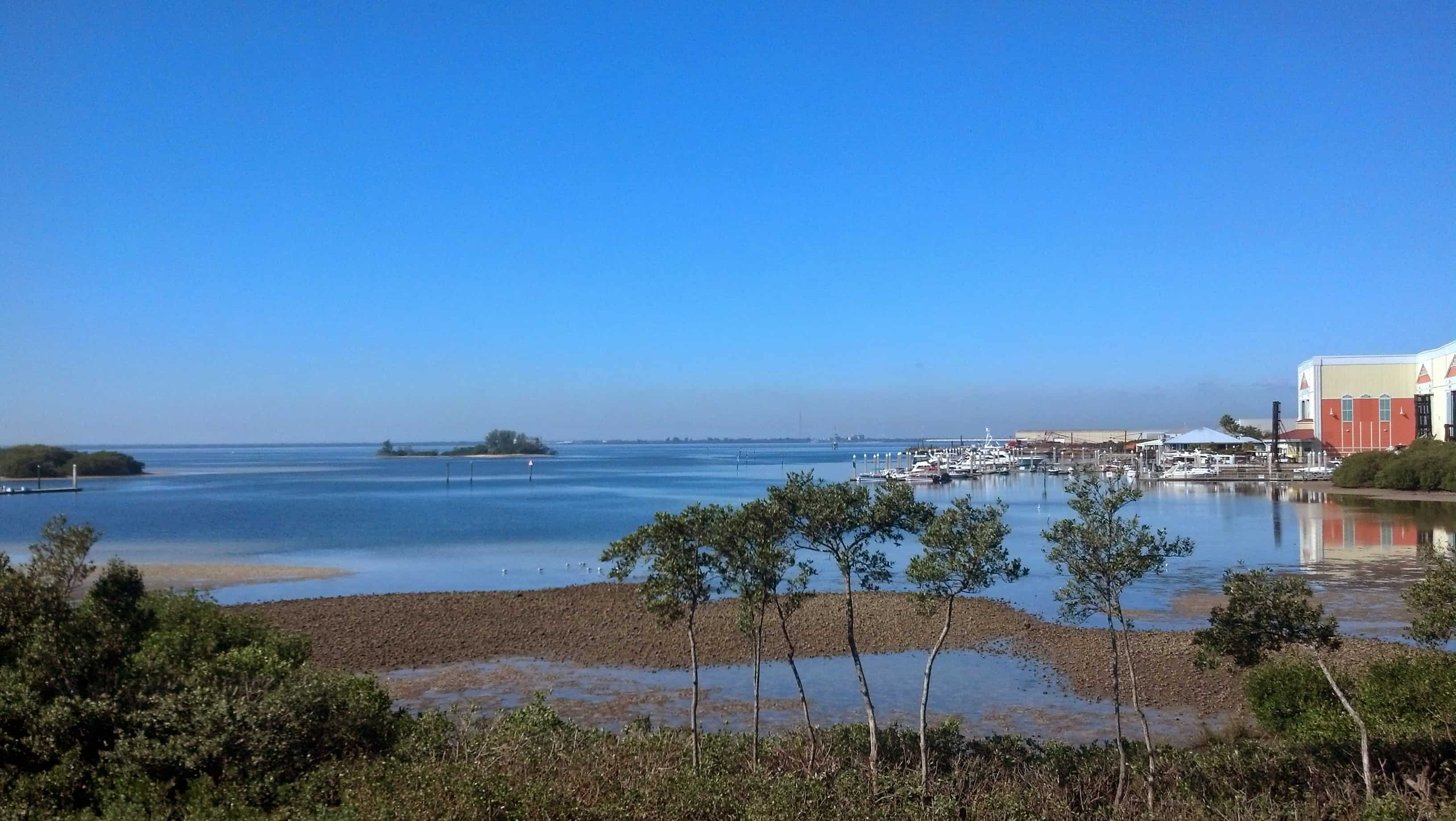 New Waterfront Condos Westshore Yacht Club Casa Bahia Tampa Real