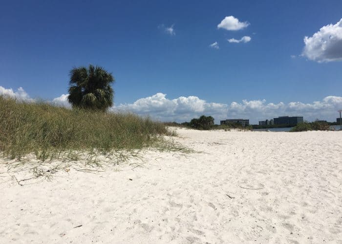 South Tampa Waterfront Homes