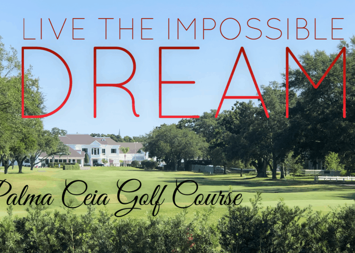 Palma Ceia Golf Course Home